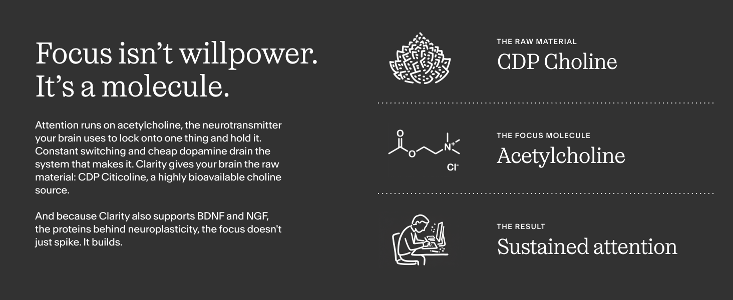 alpha gpc bacopa monnieri ashwaganda tyrosine choline lions mane memory focus brain energy vegan