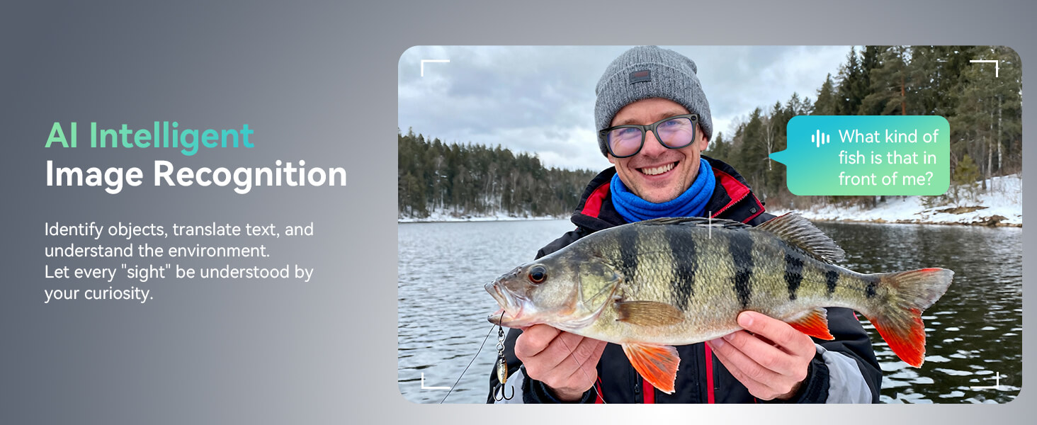 AI Intelligent Image Recognition