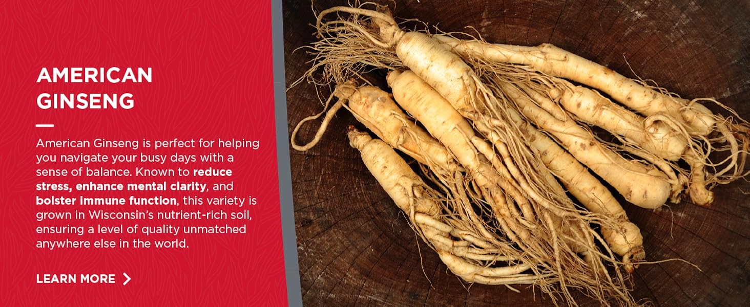 Dairyland Ginseng