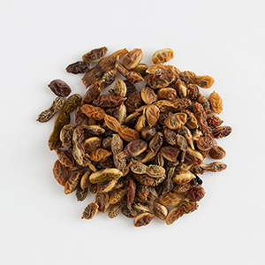 american ginseng
