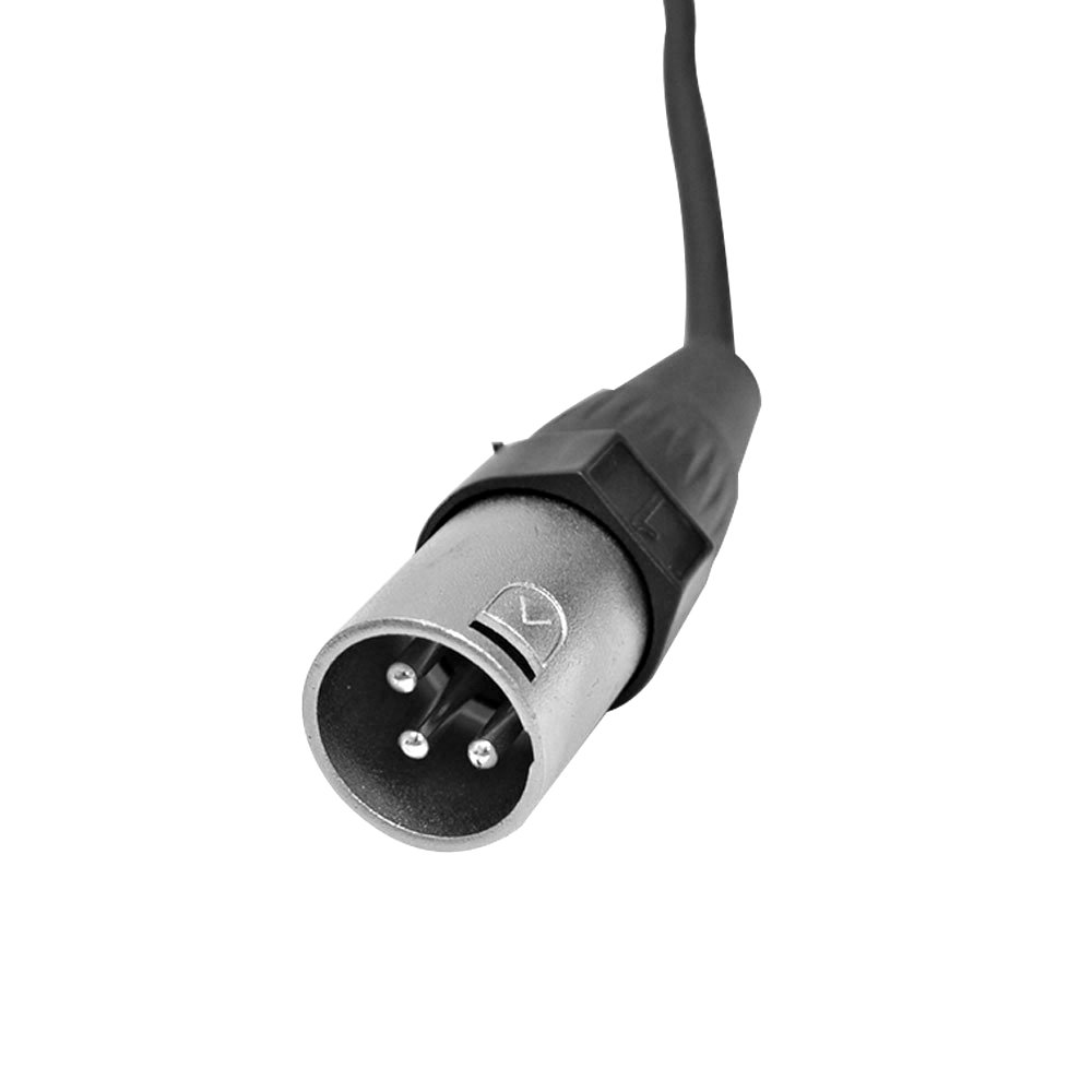 Seismic Audio SACB-6x25 6 通道薄型 XLR 傳送子蛇形電纜,25 英尺 - Image 5