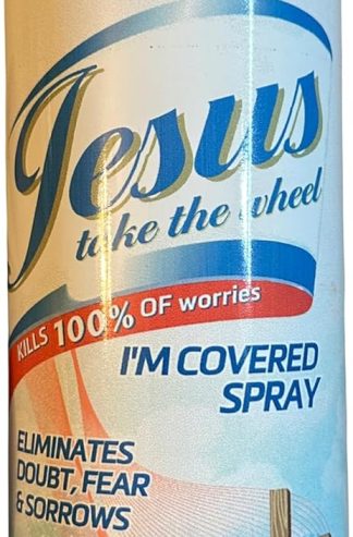 Jesus take the Wheel 20 盎司保溫杯(雲彩)