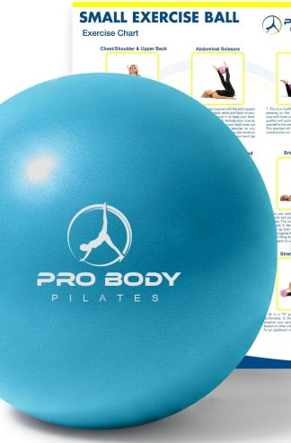 ProBody Pilates Ball Small — 9 Inch Small Yoga Ball