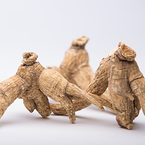 american ginseng